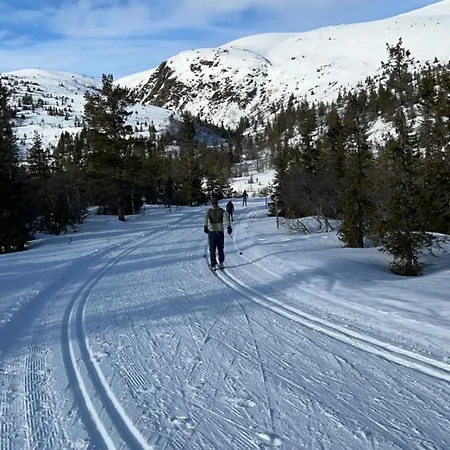 Norefjell! Newly Built With Stunning View Semesterbostad Noresund