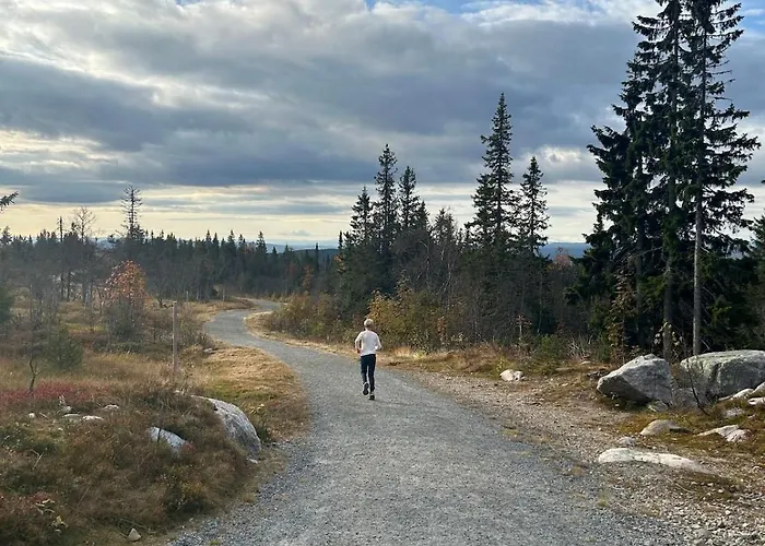 Norefjell! Newly Built With Stunning View Semesterbostad *