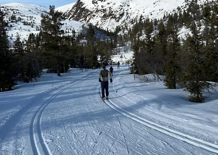 Norefjell! Newly Built With Stunning View Hébergement de vacances Noresund